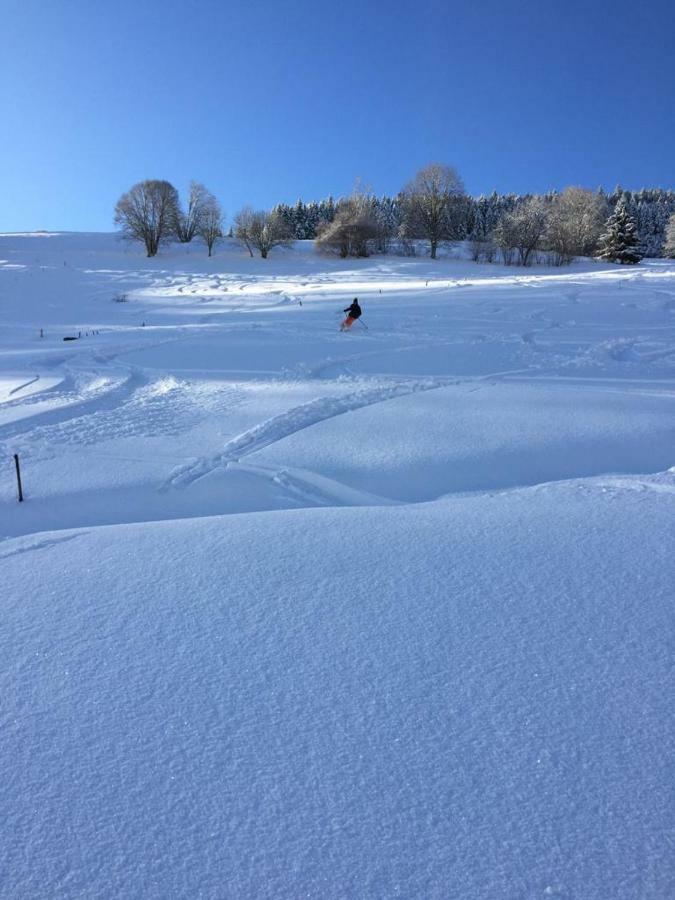 Winter-Nest Lejlighed Todtnau Eksteriør billede